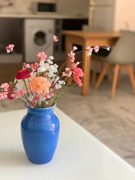 Bel Apt Centre Menton Centre Proche Casino Apartment